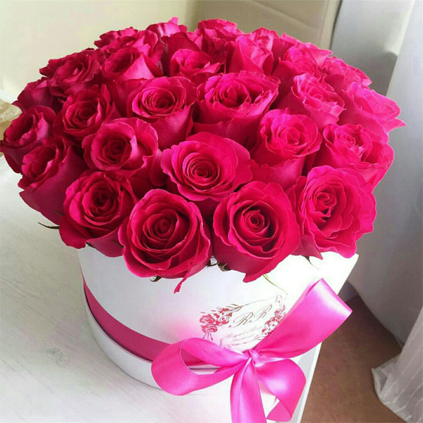 6311 2 زهور الحب - اجمل باقه زهور رومانسيه ياسمين جمال