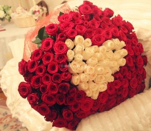 6311 5 زهور الحب - اجمل باقه زهور رومانسيه ياسمين جمال