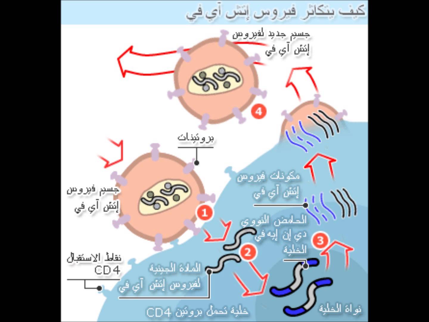 علاج مرض الايدز , هل فعلا للايدز علاج باذن الله