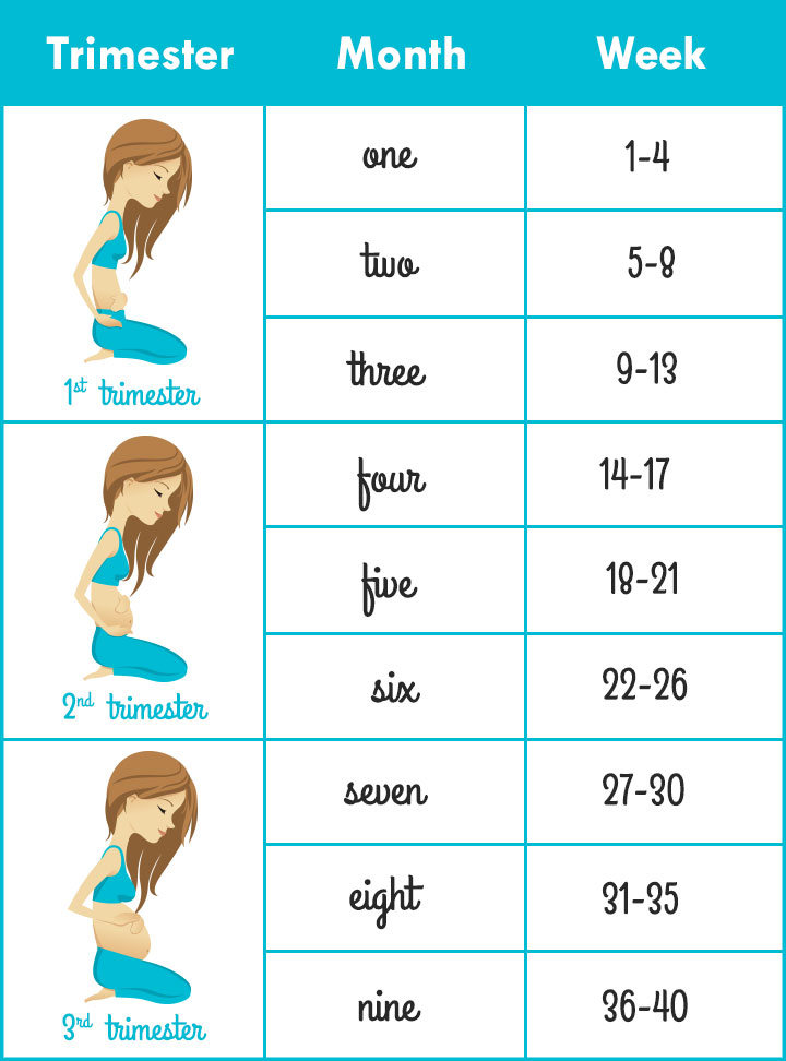 حاسبة الحمل بالاشهر , كيفيه حساب الحمل بالاشهر - كيف