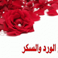 3177 1 صور صباح الخير حبيبي ملهم هشام
