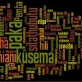15434 3 ماهي اللغة المنتشرة في بعض الدول الافريقية - ماذا تعرف عن لغات افريقيا ملهم هشام